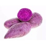 Khoai lang giống Nhật Đà Lạt – Loại 1kg 