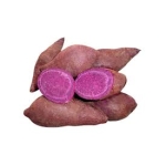 Khoai lang giống Nhật Đà Lạt – Loại 1kg 